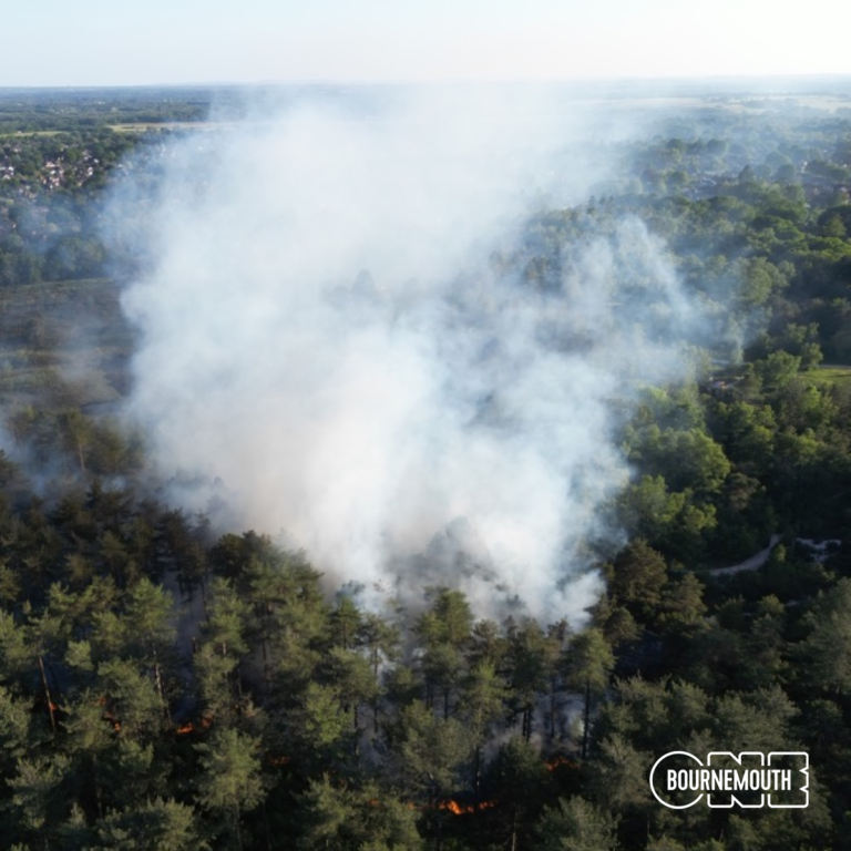 Amber wildfire alert issued for the area covered by Dorset & Wiltshire Fire and Rescue Service