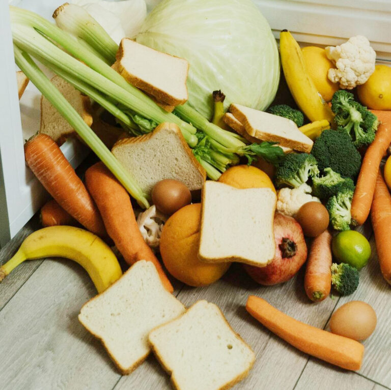 Plans to introduce food waste collection for Poole households and Bournemouth flats