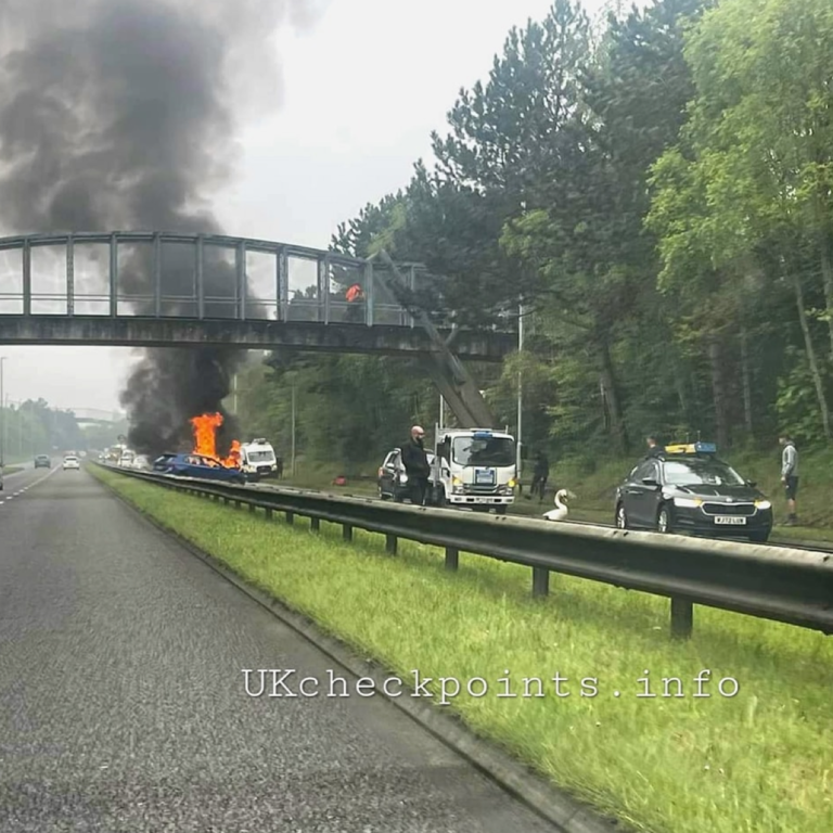 Swan thought to have caused multi-vehicle accident and car fire on Dorset Way