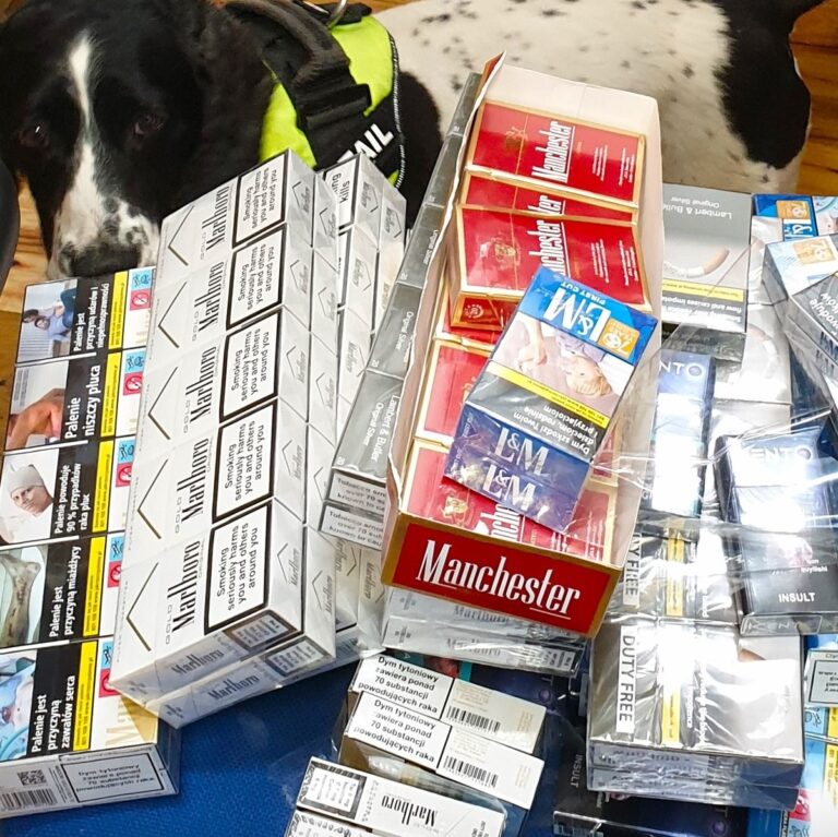 Record seizure of illegal tobacco, cigarettes and vapes with £208,000 street value