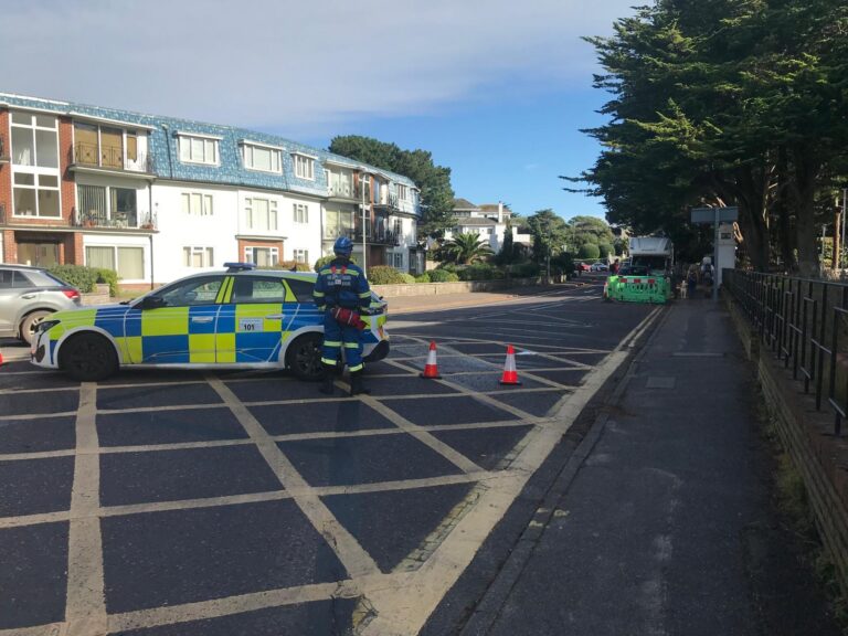 Sandbanks Ferry in Poole was suspended following concern for the welfare of a man