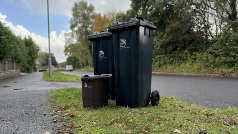 Almost a third of waste in the wrong bins but Dorset Council is still one of the best for recycling