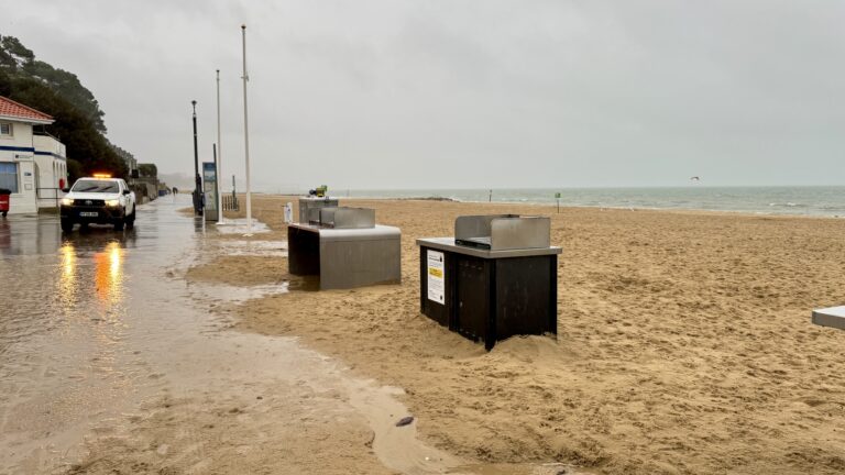 Flooding and fallen trees affecting east Dorset with wet and windy weather from Storm Bert