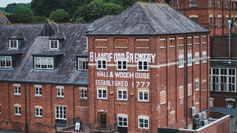 Hall & Woodhouse expected to raise £70k by donating 50 per cent of all sales made on dedicated Charity Day