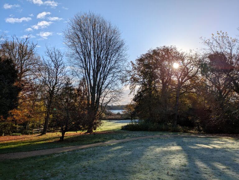 Upton Country Park’s Discovery Project has completed its first phase