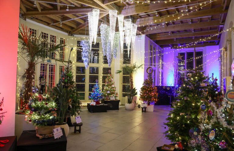 In photos: Highcliffe Castle’s Christmas Tree Festival is now open and running throughout December
