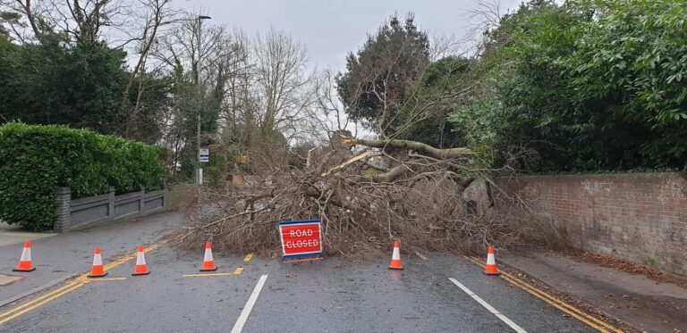 Met Office issues yellow wind warning for New Year’s Day with speeds of 64 mph forecast for Bournemouth
