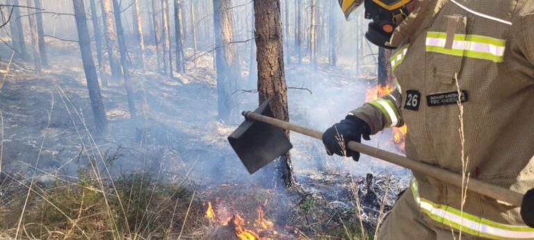 Do you know where your children and family members are? Public warning after yet another wildfire
