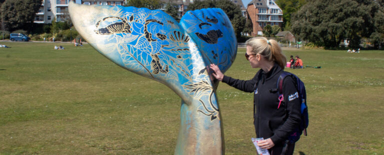 Busy streets as organisers of the Great Tail Trail express delight at the public response