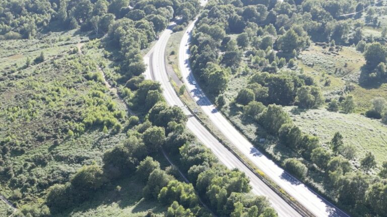 Man dies in overnight collision on the A31 in the New Forest