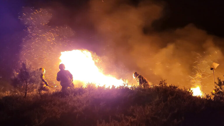 Firefighters from Dorset and neighbouring Hampshire tackle two large heath fires in Poole overnight