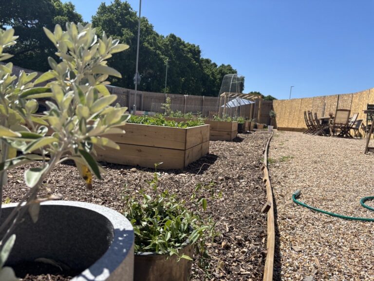 New community garden launched by the Students’ Union at Bournemouth University
