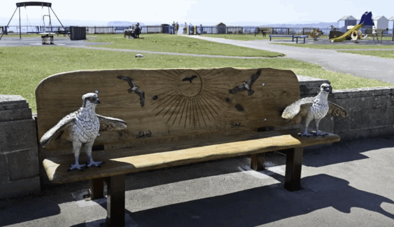 Video: Children’s winning bench designs revealed at Hamworthy Play Park