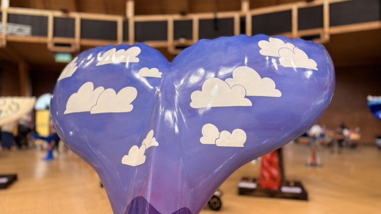Mermaid Tail Trail ends with showcase event ahead of auction
