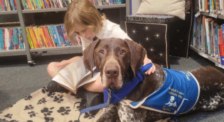 Helpful Hounds marks eight years helping families and schools