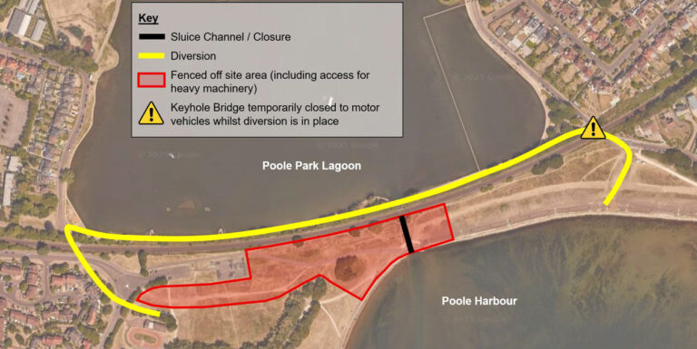 Poole Park lagoon repairs to protect wildlife start this month