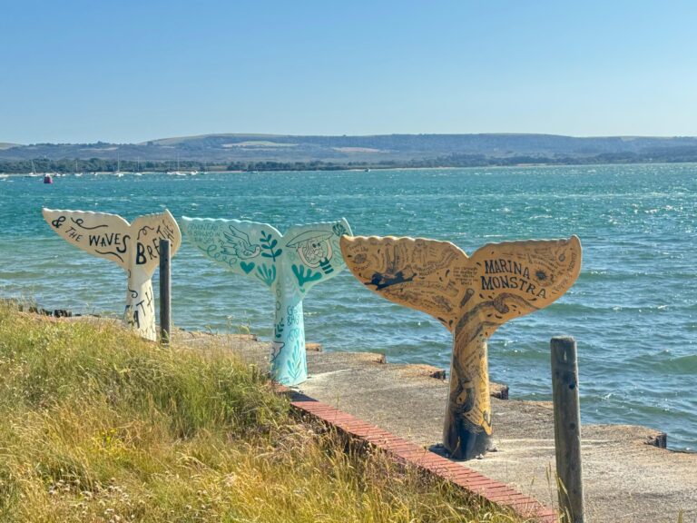 Sandbanks mermaid tails find permanent home on harbour wall