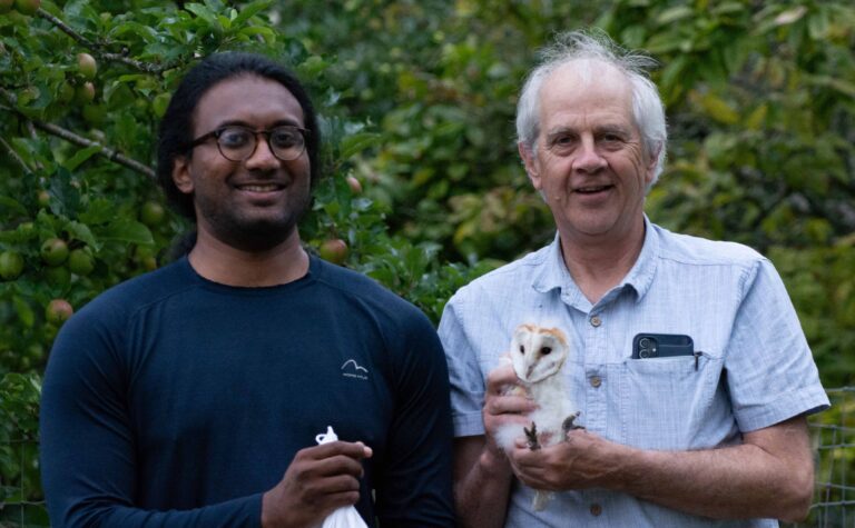 Bournemouth PhD student uses AI to monitor Dorset barn owls