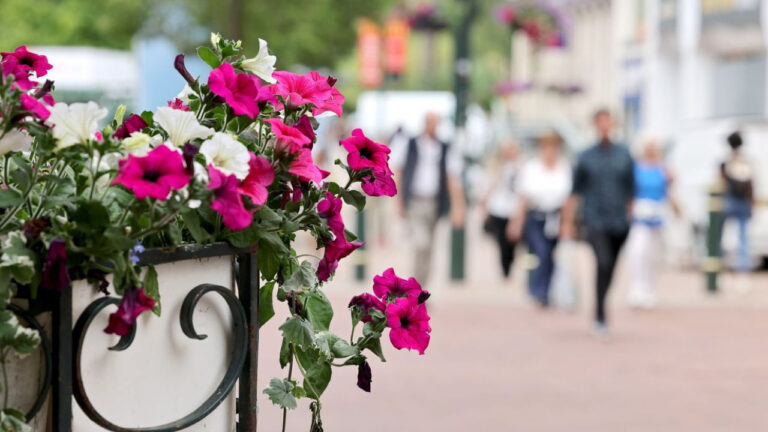 Flower displays return to brighten Bournemouth town centre streets