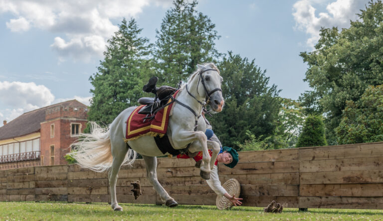 Gillingham and Shaftesbury Show to feature knights and stunt riders
