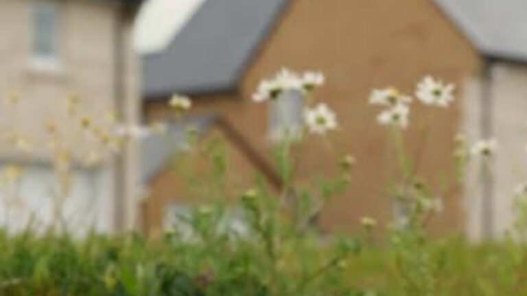 Dorset Council faces £5.3m overspend