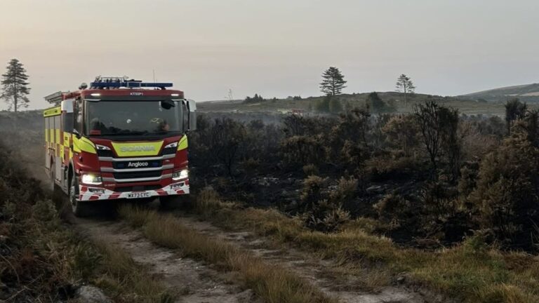 Firefighters remain on scene at Holt Heath after weekend blaze
