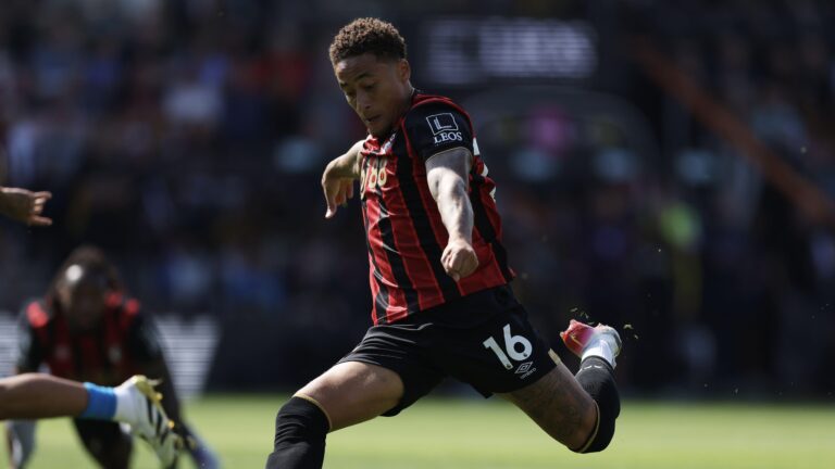 AFC Bournemouth secure first Premier League win over Wolves