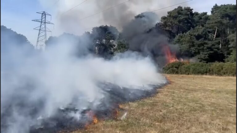 Fifteen fire engines tackle large grass fire in Poole