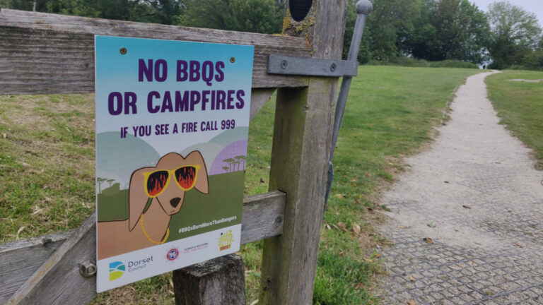 Retailers urged to stop selling single-use barbecues in Dorset
