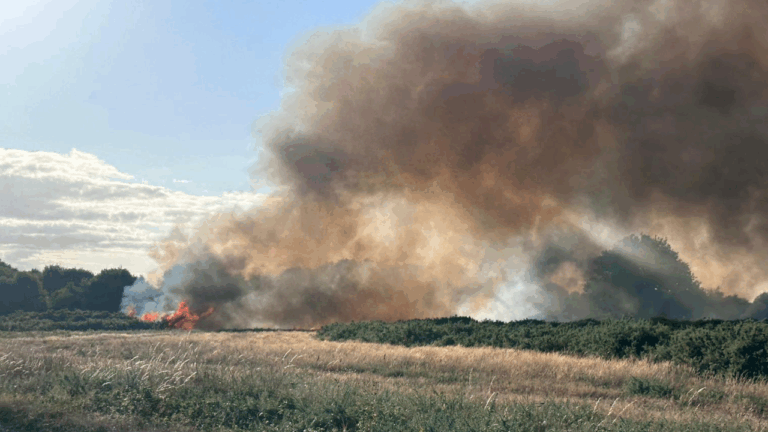 Fire crews tackle large heath blaze between Holt and Three Legged Cross