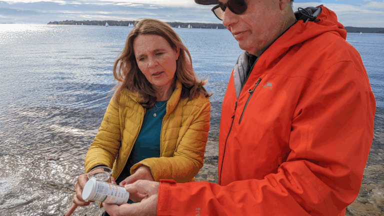 MP Vikki Slade warns sewage pollution is ruining beach and river use