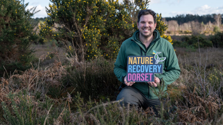 Heathland restoration to reduce fire risks