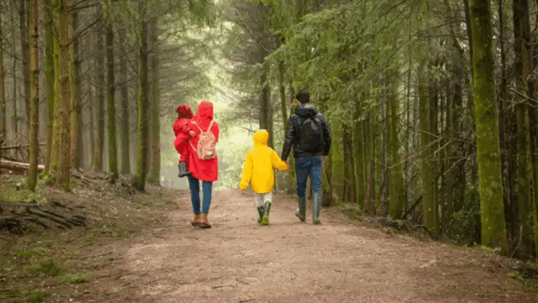Moors Valley unveils autumn trail