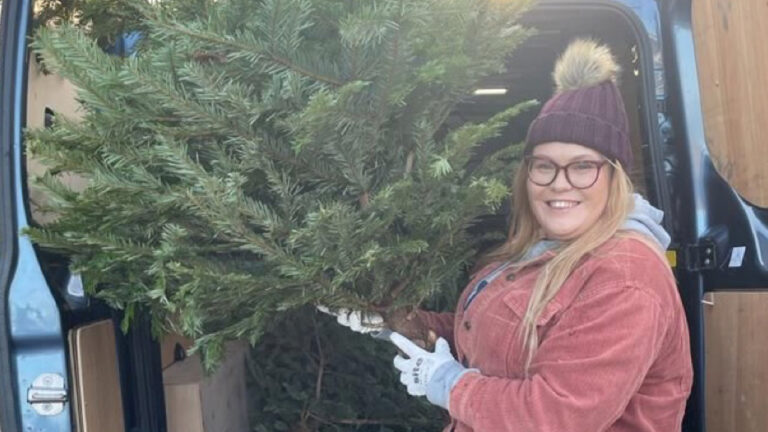 Treecycling service to return in January