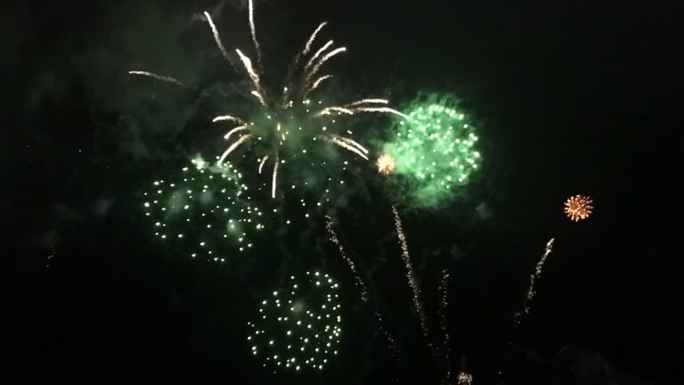 Local fireworks issue raised in Parliament