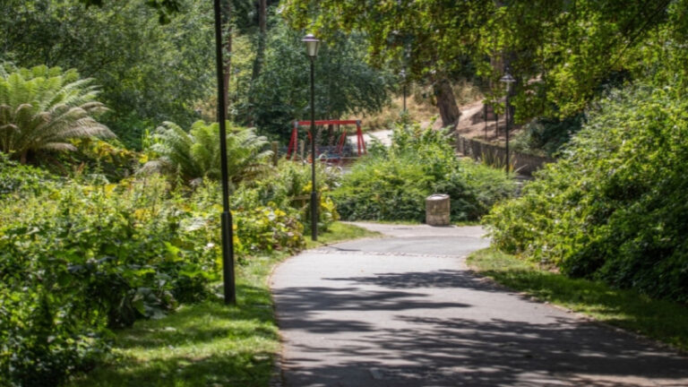 Funding backs new trees across BCP