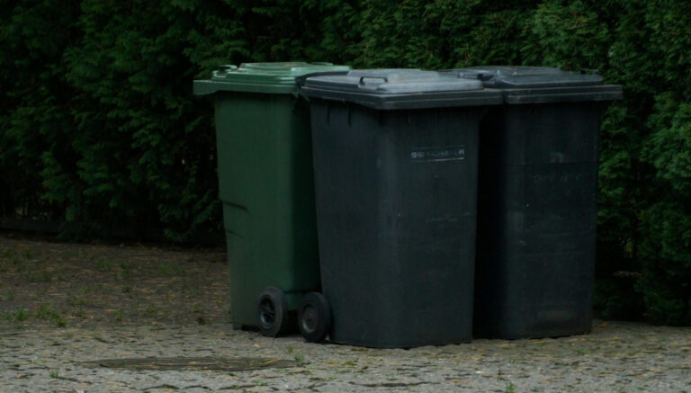 Bin collection delays across Bournemouth
