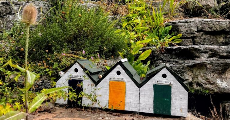 Grants boost parks and community hubs