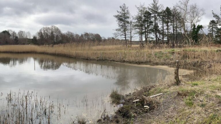 £6.1m paid after Poole Harbour oil spill