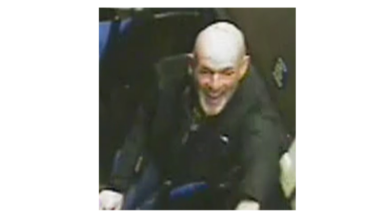 Poole Assault 55260011601