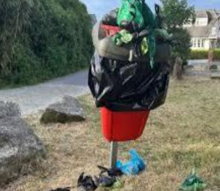 Plan approved to combine public waste bins