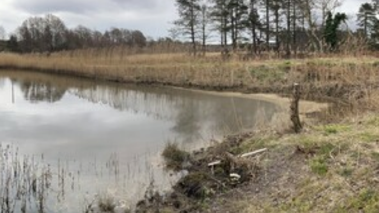 Greens question Poole Harbour oil fine