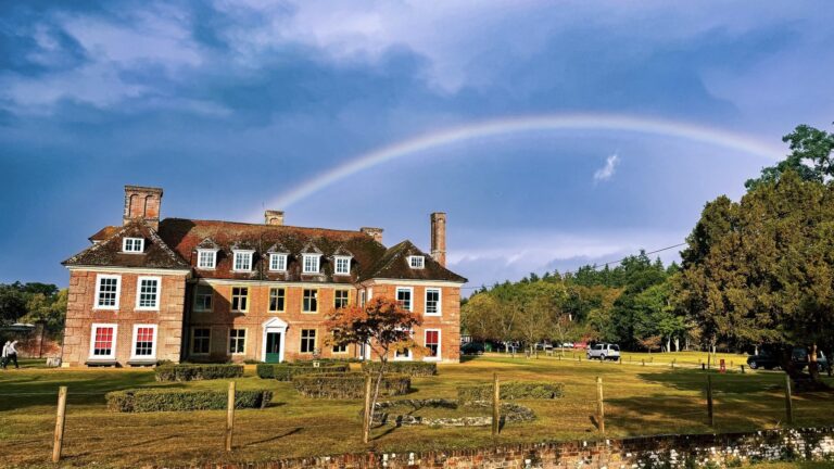 Moyles Court School to close this year