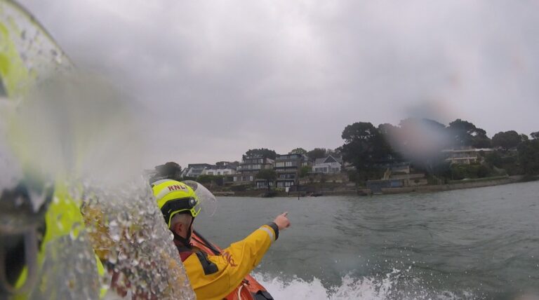 Paddleboarder rescued in harbour