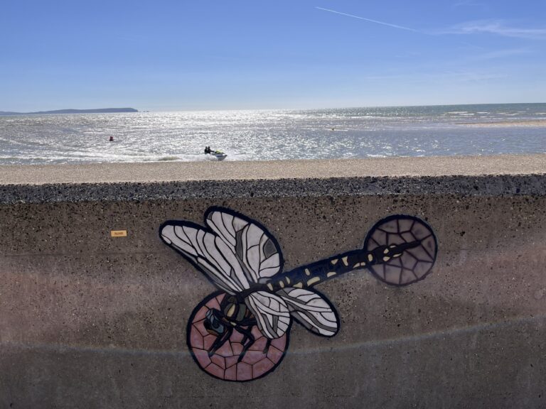 New mosaics brighten Christchurch coast