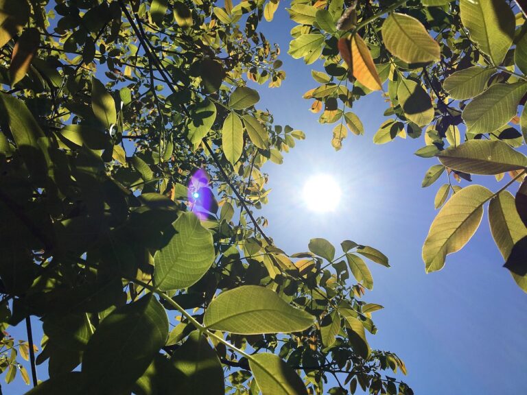 Amber heat-health alert issued for South West