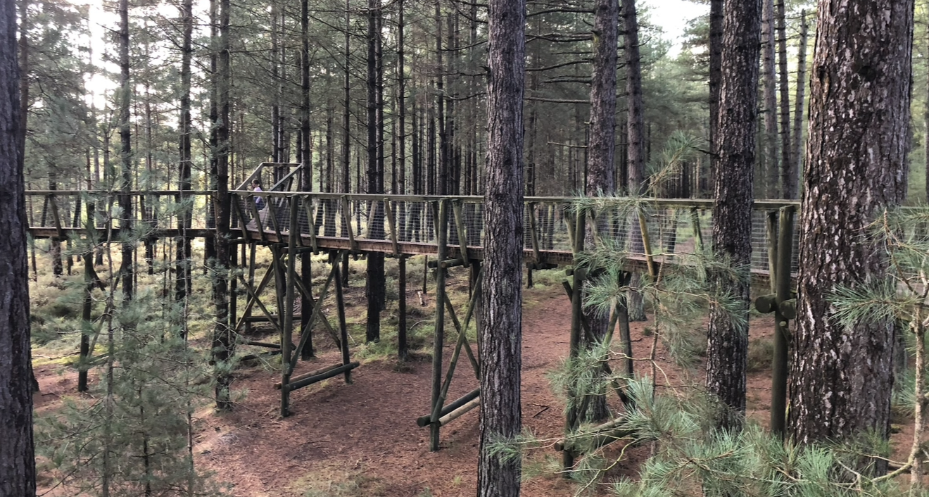 Moors Valley Tree Top Trail closes