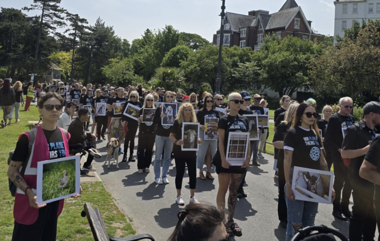 Bournemouth animal rights event planned