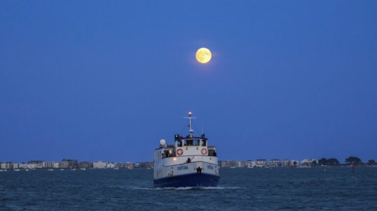 Poole cruise planned for solar eclipse
