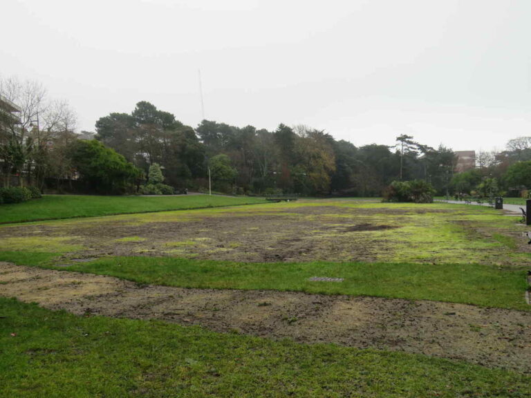 Six new trees to be planted in Lower Gardens